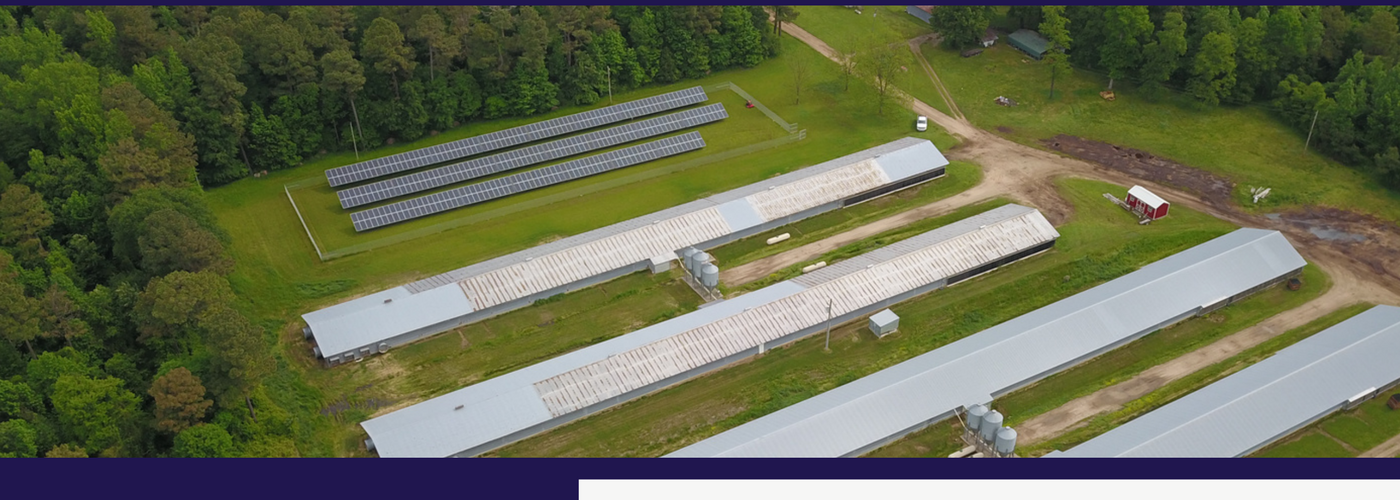 Aerial photo of Boyd Family Farms poultry houses with REAP-funded solar array in Rison, Arkansas